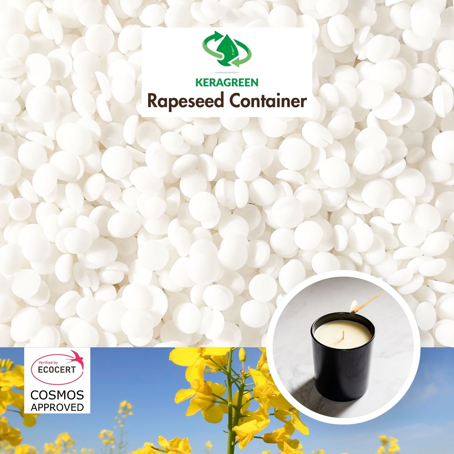Bio Rapswachs Keragreen Rapeseed Container für Behälterkerzen