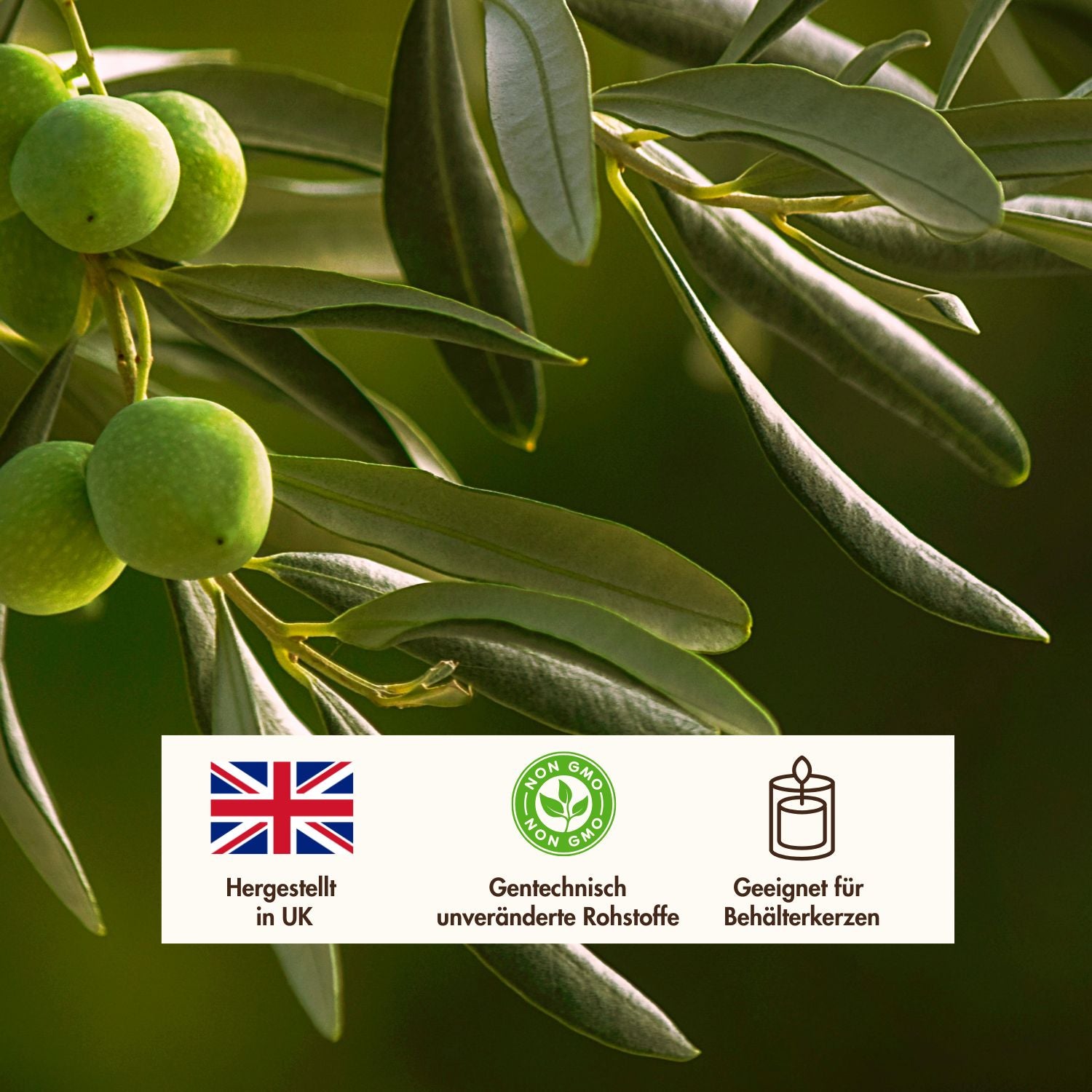 Olivenwachs Pastillen «EcoOlive Container» für Behälterkerzen