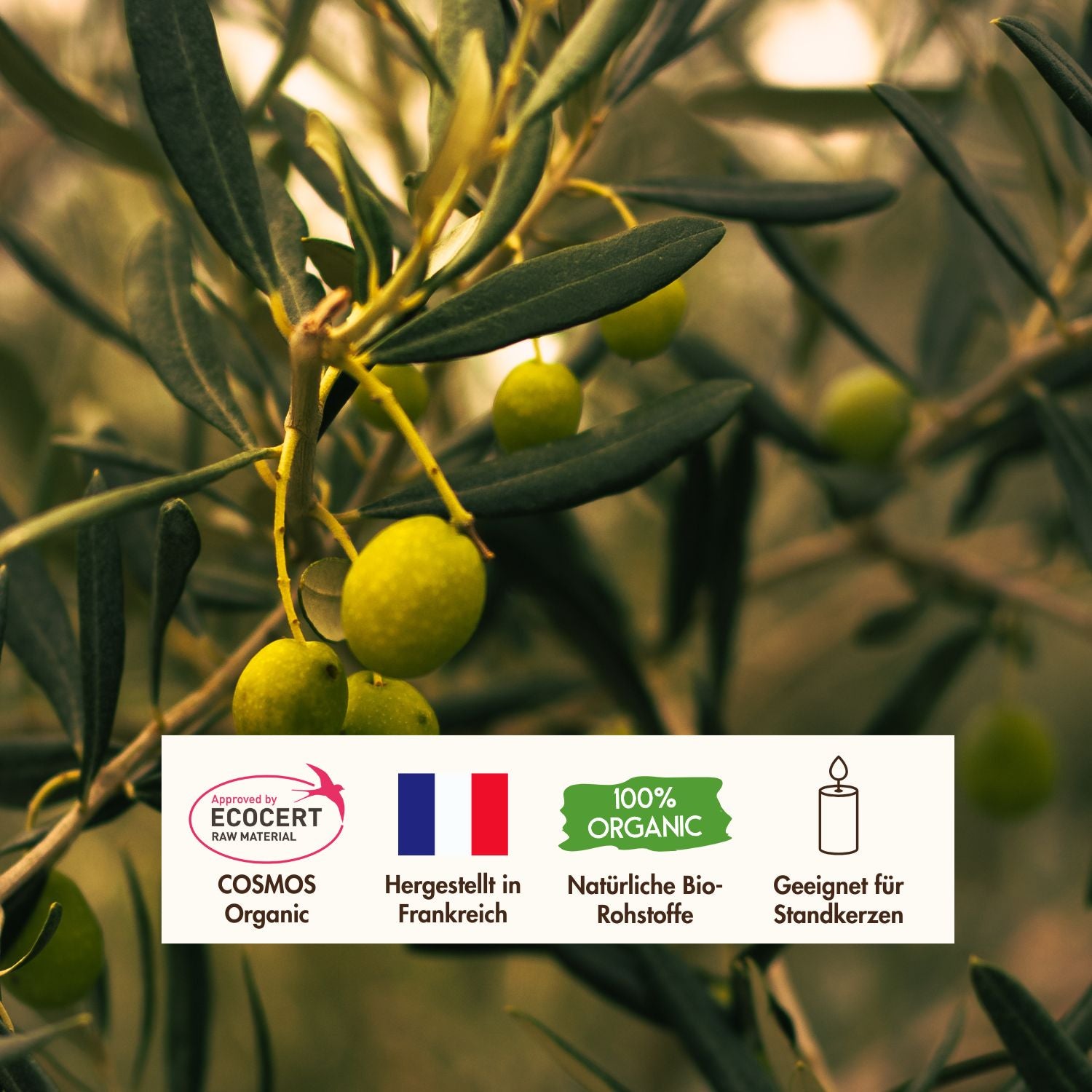 Bio Olivenwachs Pastillen «Keragreen Olive Pillar» für Standkerzen
