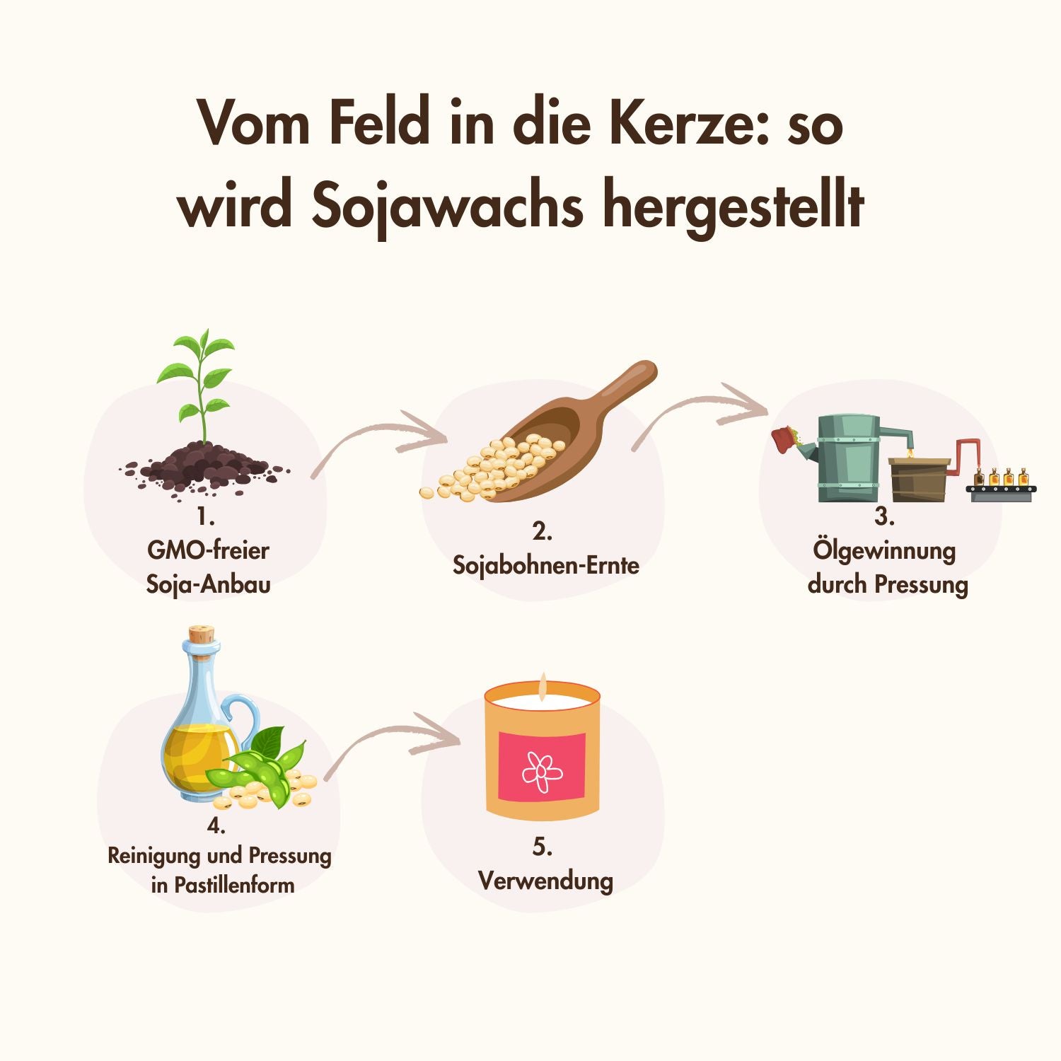 Sojawachs Herstellung