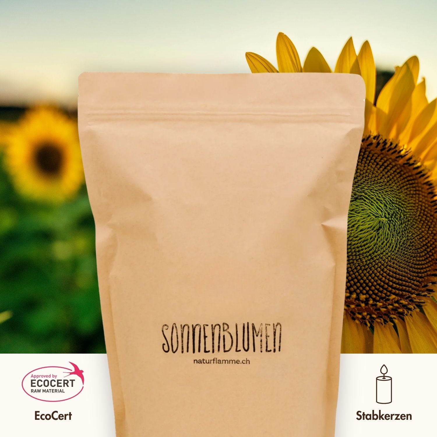 Bio Sonnenblumenwachs «Keragreen Sunflower Pillar» für Standkerzen